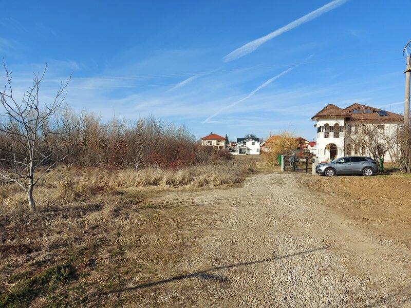 Snagov, Ciofliceni