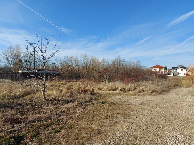 Snagov, Ciofliceni